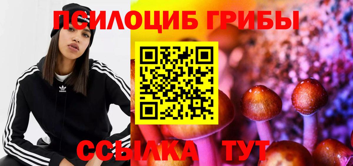 продажа наркотиков  Псилоцибиновые грибы прущие грибы  Вход с VPN  Трёхгорный 