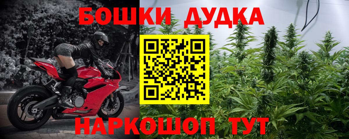 Бошки Шишки семена Трёхгорный